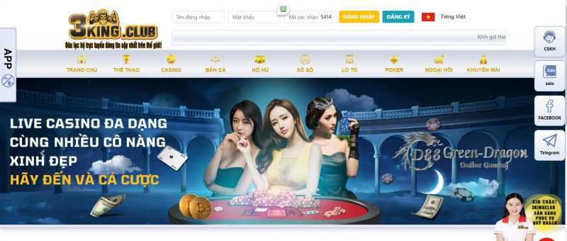 Mẫu đơn cá cược trực tuyến Ds99 - Ds99