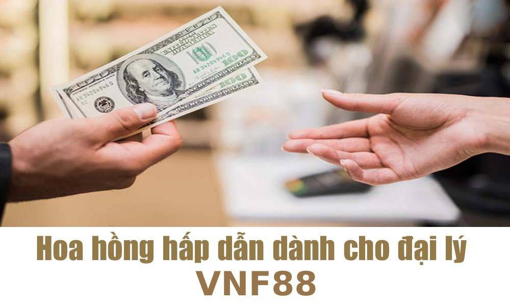 Gà chọi cấp Benbet có những ưu điểm gì thu hút người chơi? - Benbet