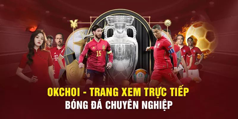 Cổng thông tin trò chơi 365Vn - Chương trình khuyến mãi hấp dẫn của 365Vn - 365Vn