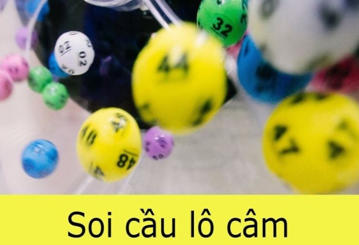 Liên kết cuối cùng cho Xvip 2026 - Xvip