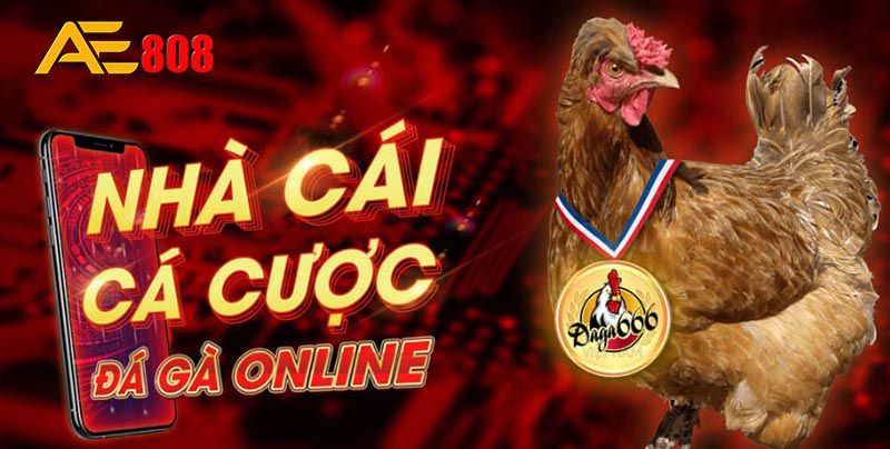 Cách xem tỷ lệ cược trận bóng đá trên Win7/8H3bet - H3bet