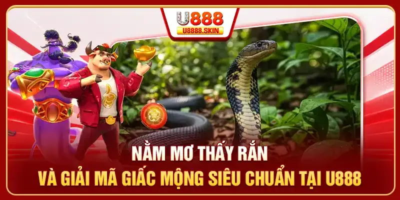 Điểm truy cập chính của nền tảng 98Win là tốt nhất - 98Win