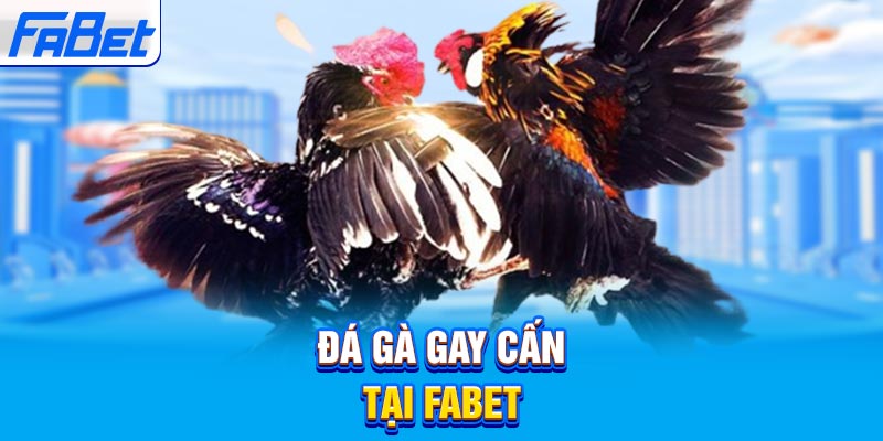 Các nhà phát triển game hàng đầu (7M) luôn cung cấp một thư viện game khổng lồ - 7M