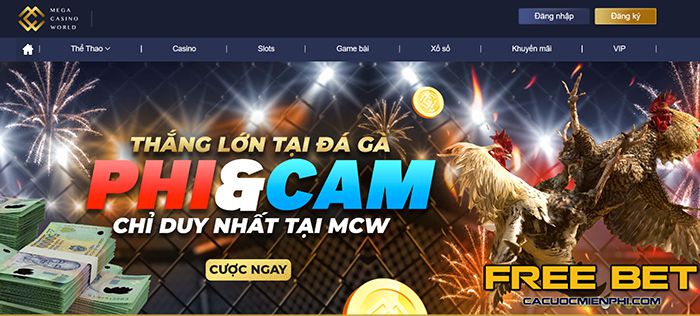 Câu lạc bộ Ds99 – Những trận đấu hấp dẫn, cơ hội trúng xe hơi hạng sang! - Ds99