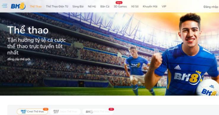 D9bet là một tổ chức uy tín hay là một trò lừa đảo? - D9bet