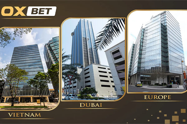 Tổng quan thông tin về Stake - Stake