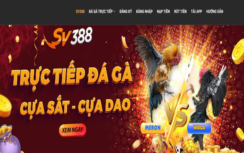 Các sự kiện thể thao quy mô lớn cấp 789Club - 789Club