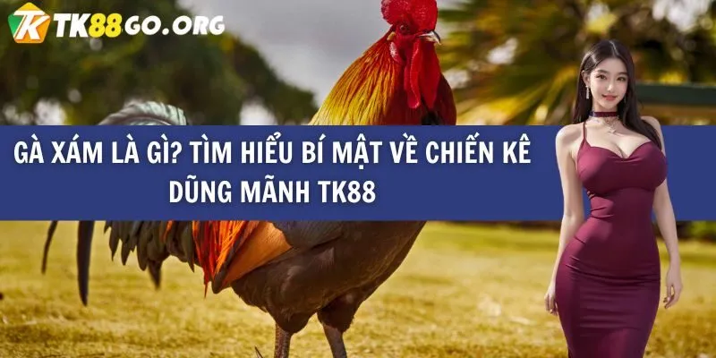 Hãy cùng tìm hiểu về các trò chơi bài cấp độ We88 - We88