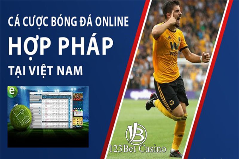 Tại sao nên chọn cá cược đá gà tại Công ty Vb777 Gaming? - Vb777